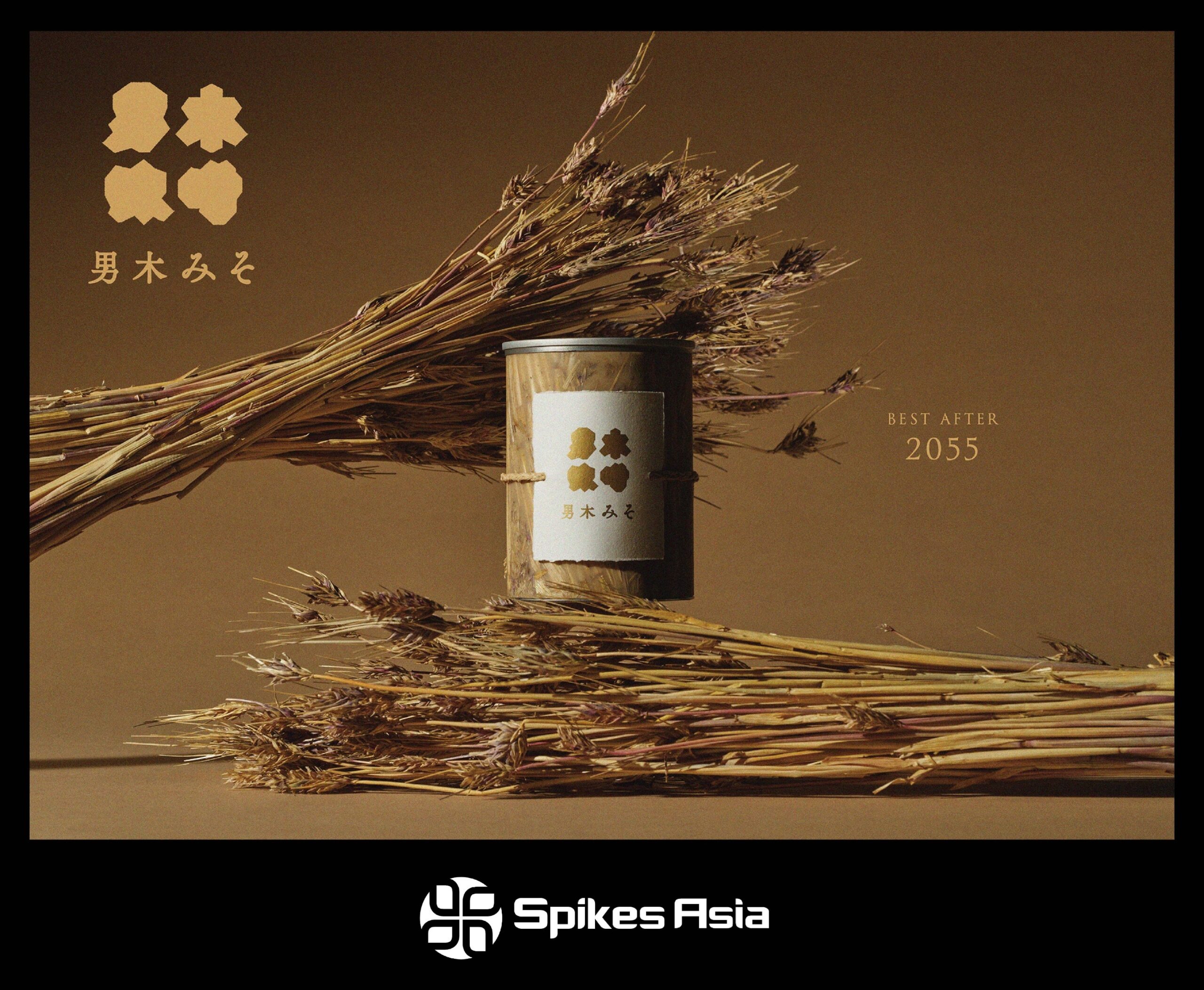 Shiseido Spikes Asia award-winning projects shown in brand communication context