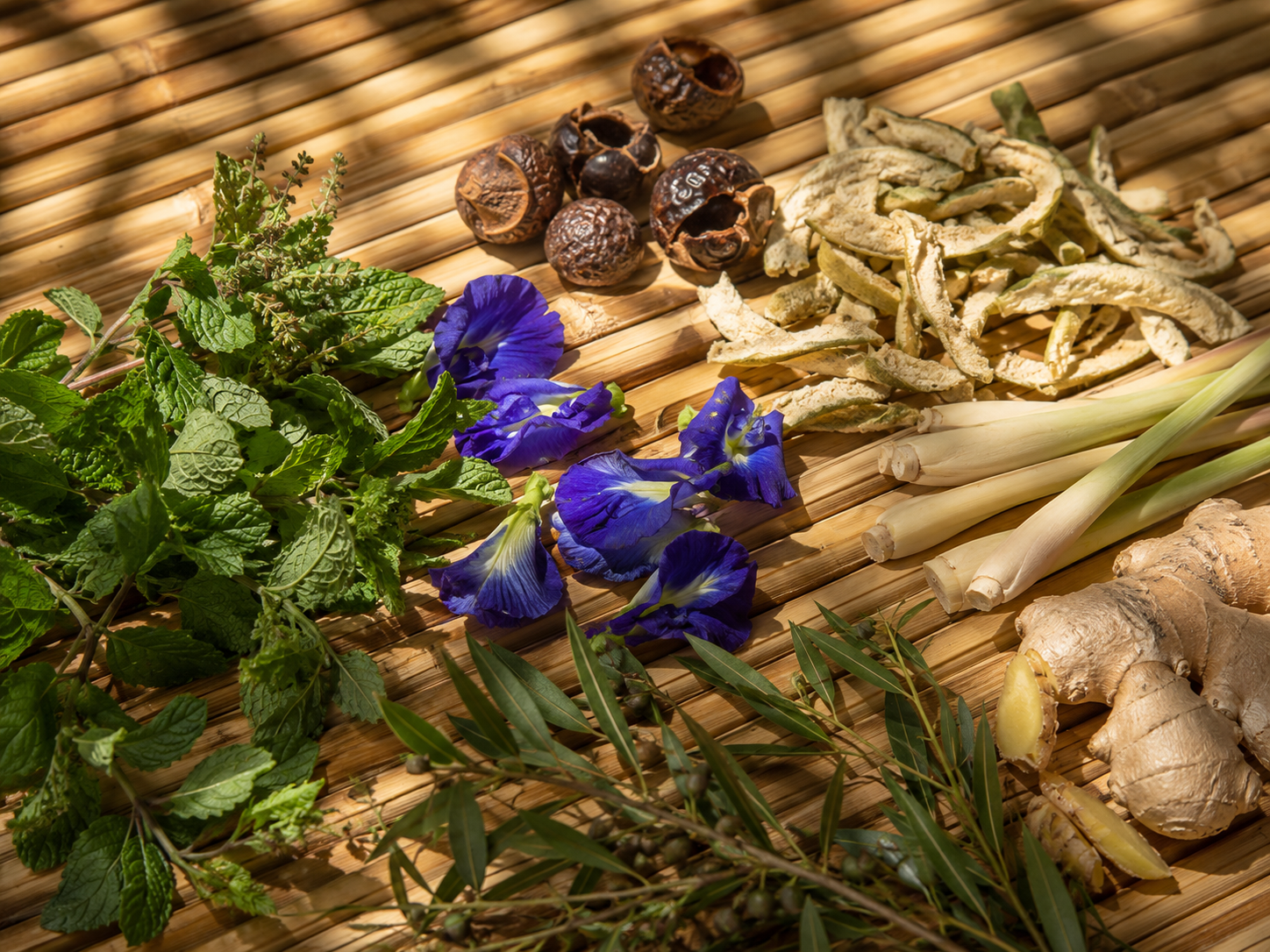 Fish mint, butterfly pea flower, soapberry, lemongrass - ingredients rooted in Vietnamese traditional medicine that predate modern cosmetic formulation