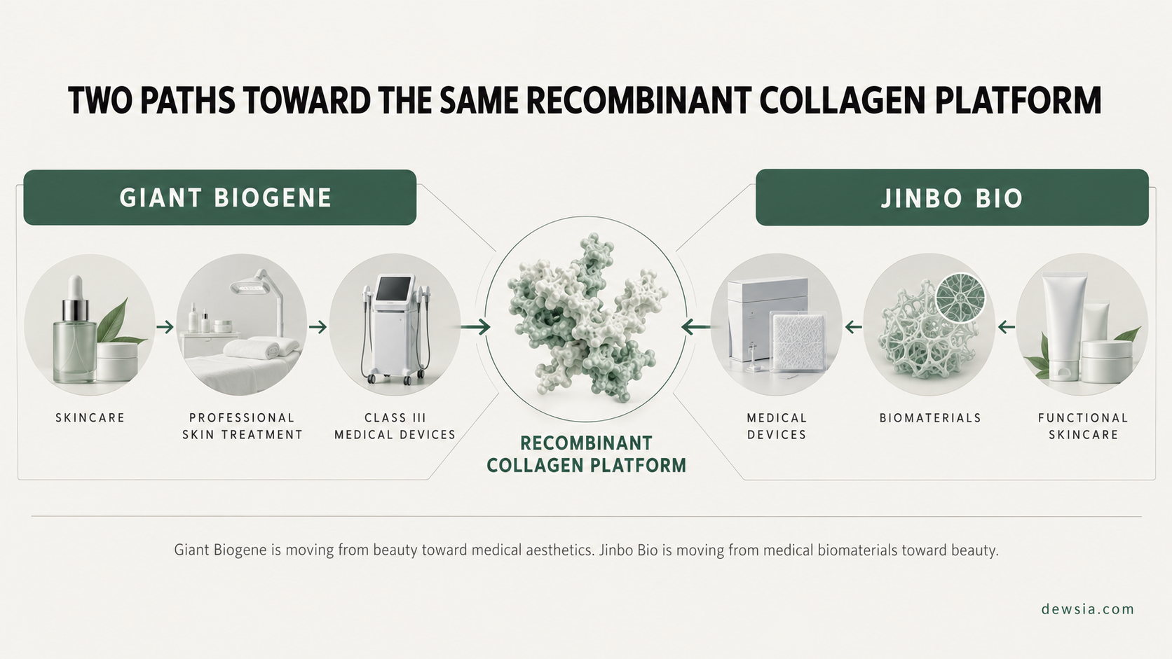 Comparison showing Giant Biogene moving from skincare toward medical devices and Jinbo Bio moving from medical devices toward functional skincare around recombinant collagen